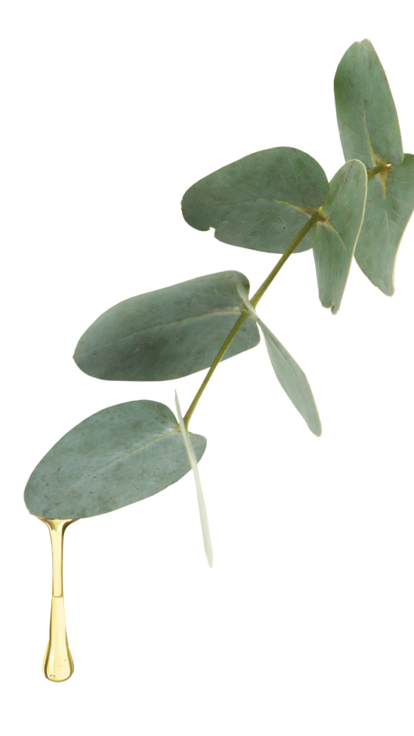image 01